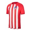 Virallinen Fanipaita Atlético Madrid Kotipelipaita 2023-24 - Miesten